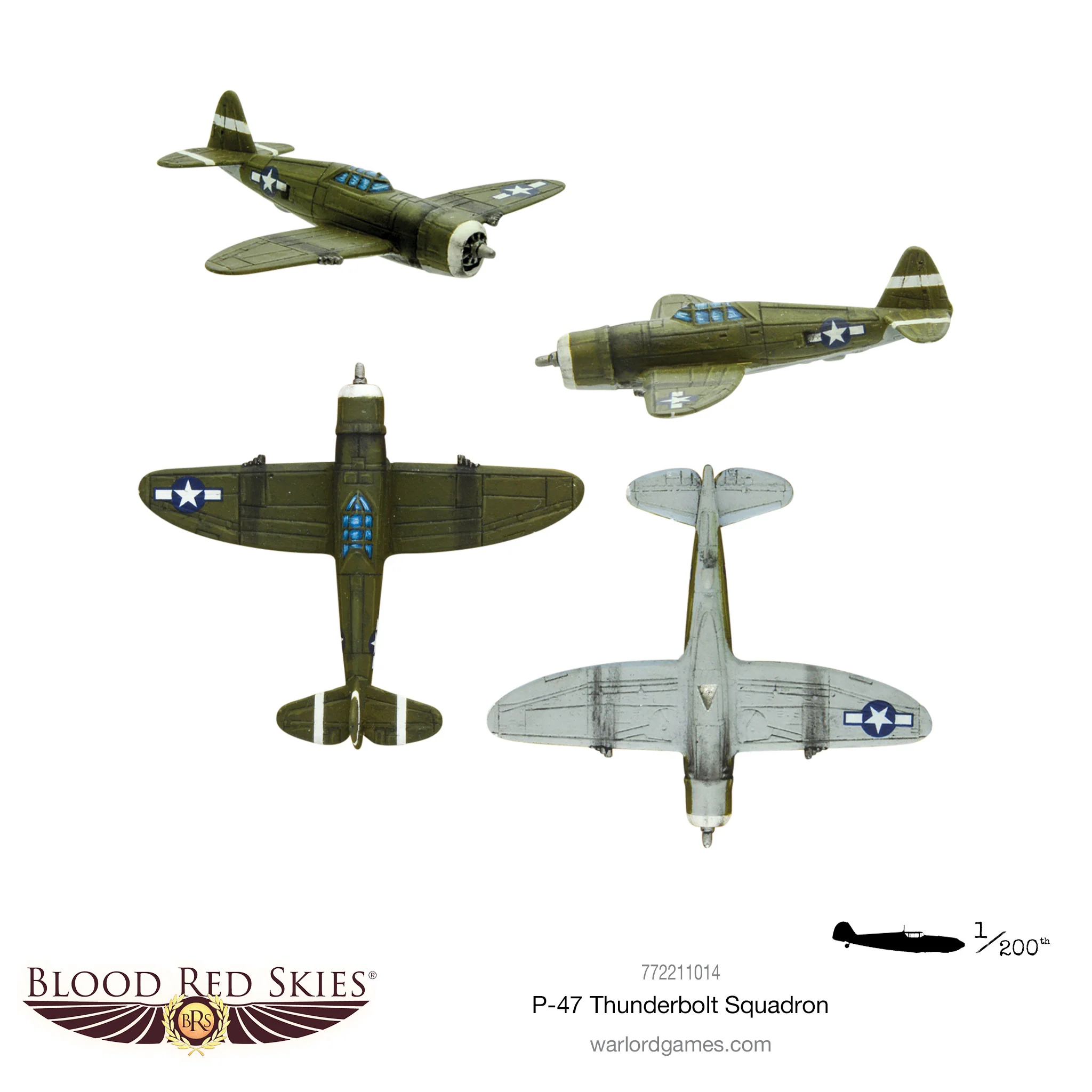 Republic P-47 Thunderbolt squadron - Image 2