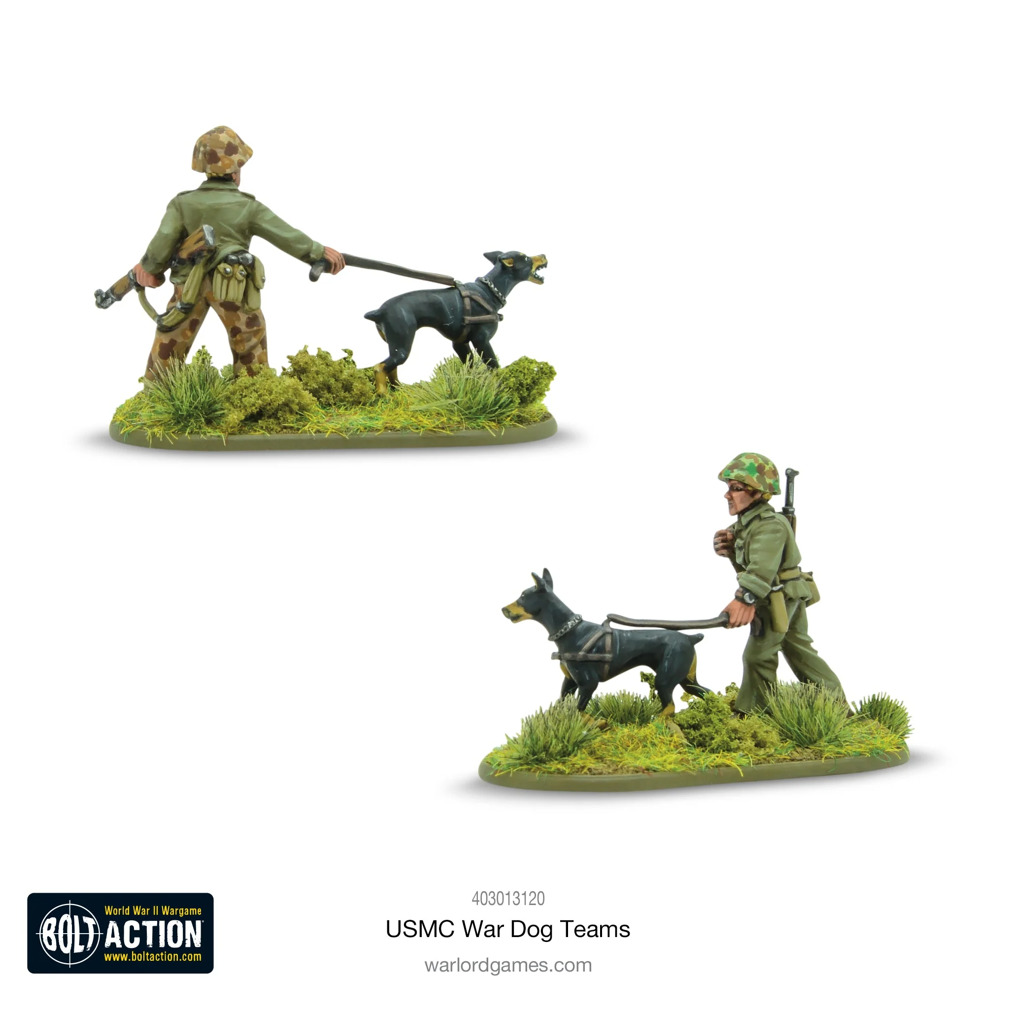 USMC War Dog Teams - Image 2