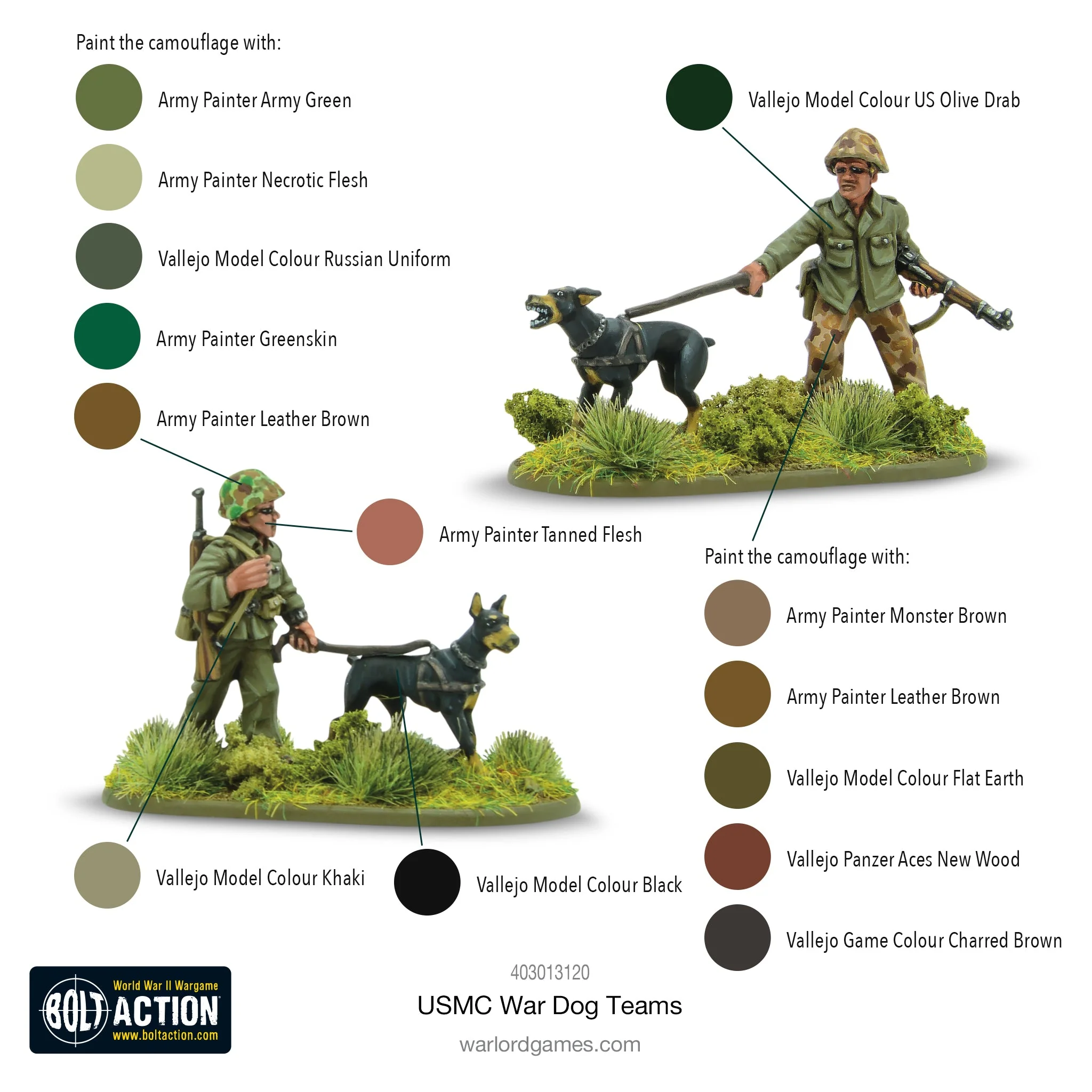 USMC War Dog Teams - Image 3