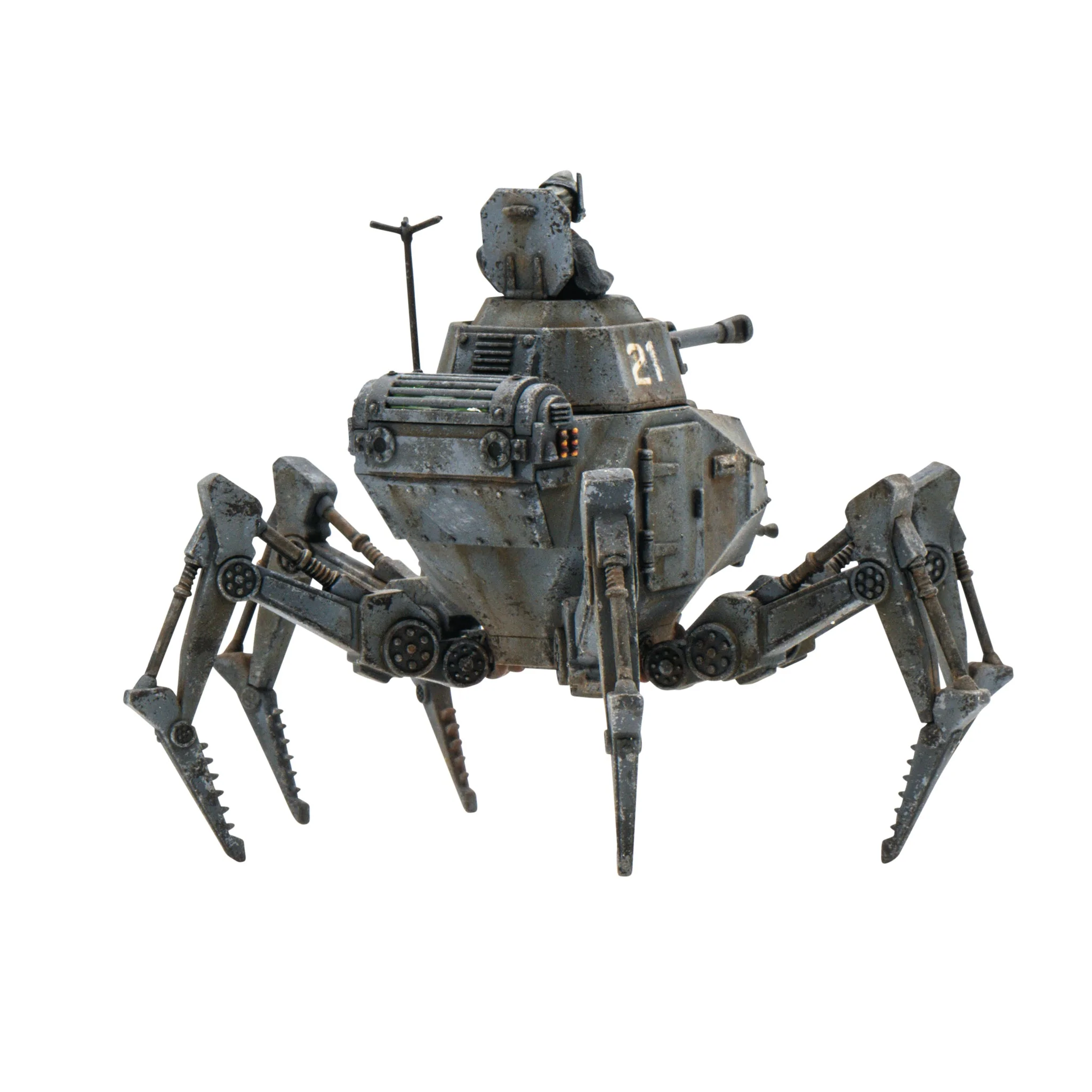 Vogelspinne Light Walker - Image 3